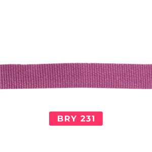 bry231
