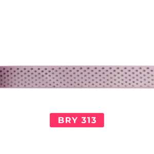 bry313