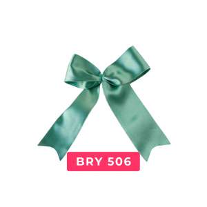 bry506