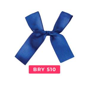 bry510